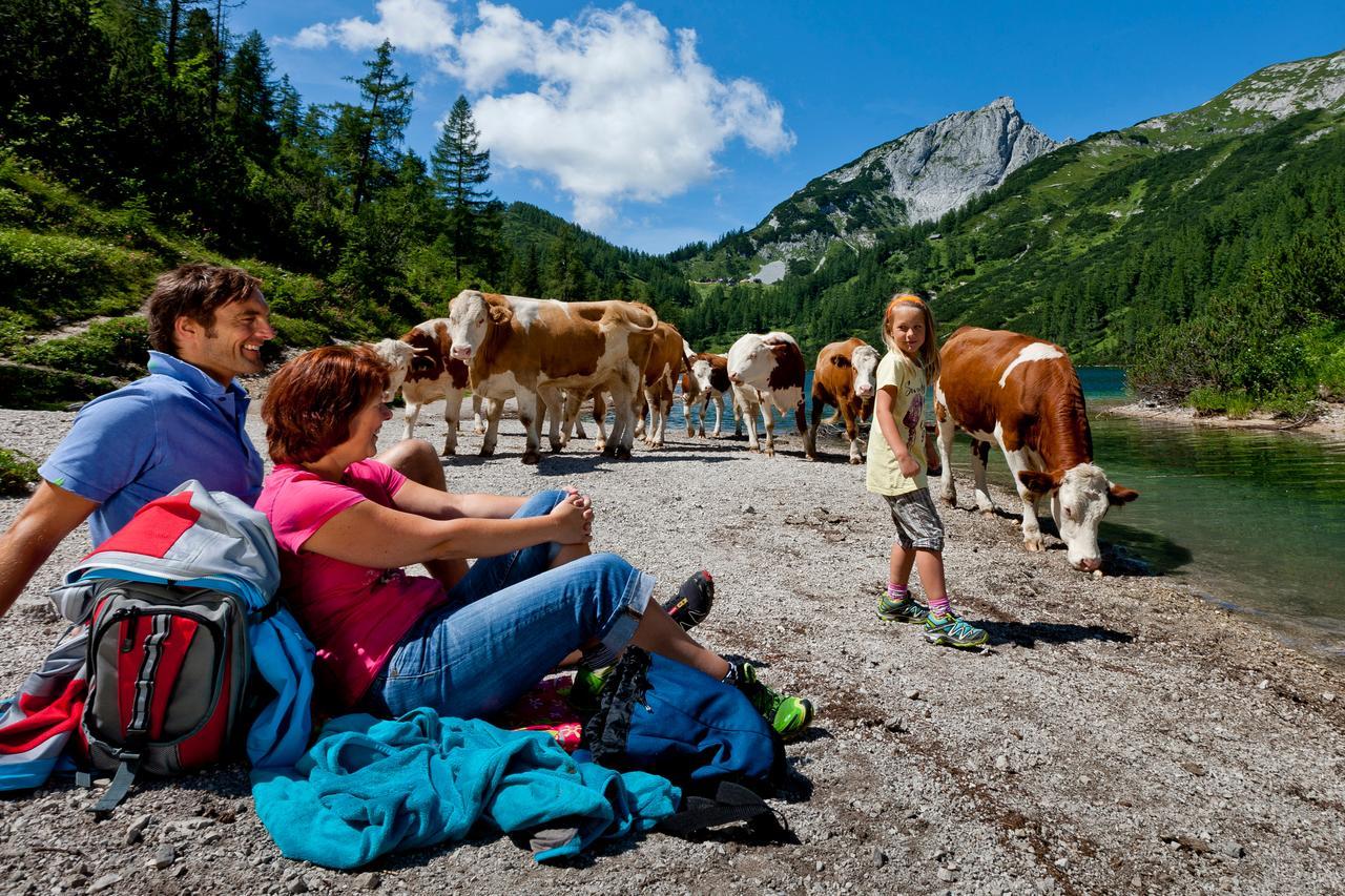 Hotel Ausseerland Bad Mitterndorf Luaran gambar